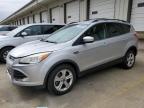 2013 Ford Escape Se for Sale in Louisville, KY - Front End