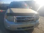 2011 Ford Escape Xlt იყიდება Arlington-ში, WA - Minor Dent/Scratches