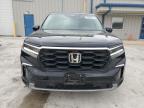 2023 Honda Pilot Exl للبيع في Cahokia Heights، IL - Rear End