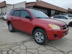 2009 Toyota Rav4  იყიდება Fort Wayne-ში, IN - Rear End