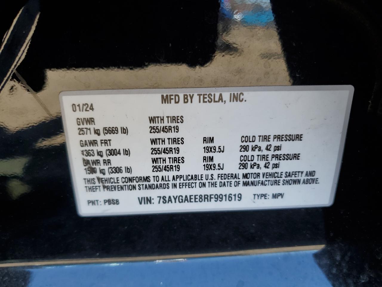 2024 Tesla Model Y VIN: 7SAYGAEE8RF991619 Lot: 50828165