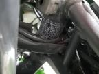 2024 Kawasaki Ex500 A en Venta en Dallas, TX - Side