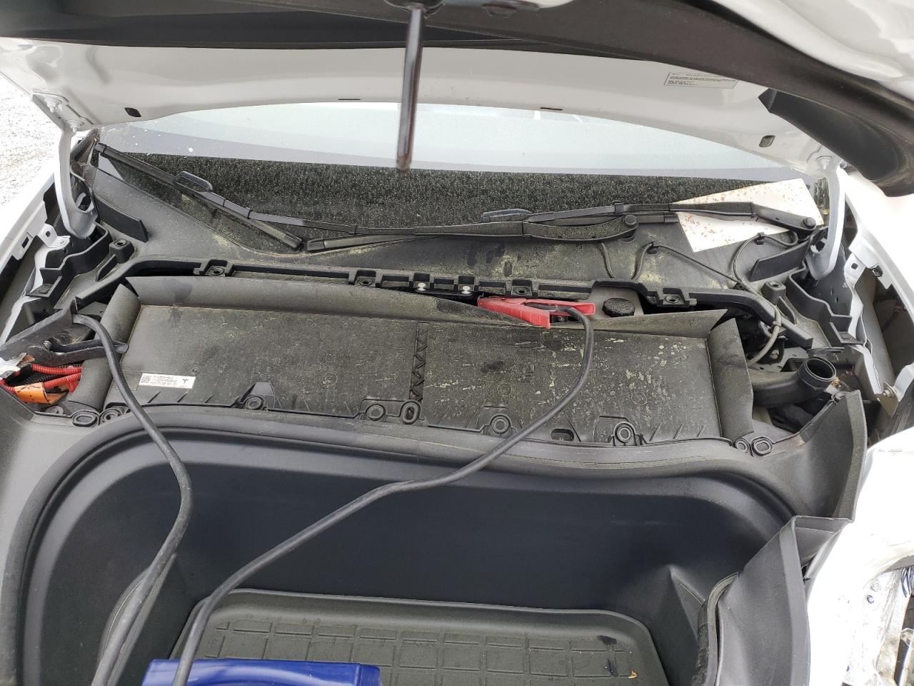 2024 Tesla Model Y VIN: 7SAYGDEDXRF038113 Lot: 51100275