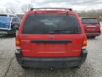 2002 Ford Escape Xlt en Venta en Louisville, KY - Hail