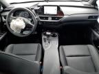 2024 Lexus Ux 250H Base for Sale in Homestead, FL - Front End