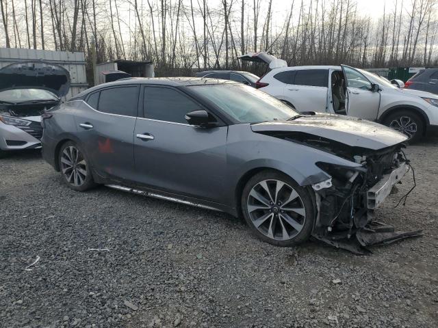 NISSAN MAXIMA 2021 Szary