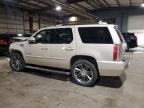 Eldridge, IA에서 판매 중인 2013 Cadillac Escalade Premium - Front End