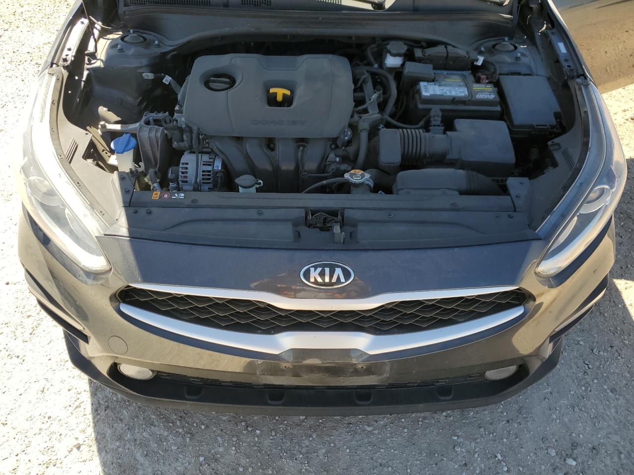 2019 Kia Forte Fe VIN: 3KPF24AD9KE139518 Lot: 48954925