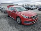 2017 Hyundai Sonata Sport за продажба в Spartanburg, SC - Rear End