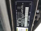 2024 Lexus Rx 500H F Sport zu verkaufen in Amarillo, TX - Front End