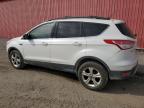 2013 Ford Escape Se zu verkaufen in London, ON - Minor Dent/Scratches