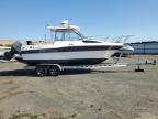 2019 Champion Boat for Sale in Sacramento, CA - Minor Dent/Scratches