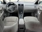 2009 Toyota Corolla Base de vânzare în Louisville, KY - Hail