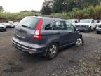 2010 Honda Cr-V Lx for Sale in Kapolei, HI - Front End