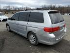 2010 Honda Odyssey Exl for Sale in Marlboro, NY - Side