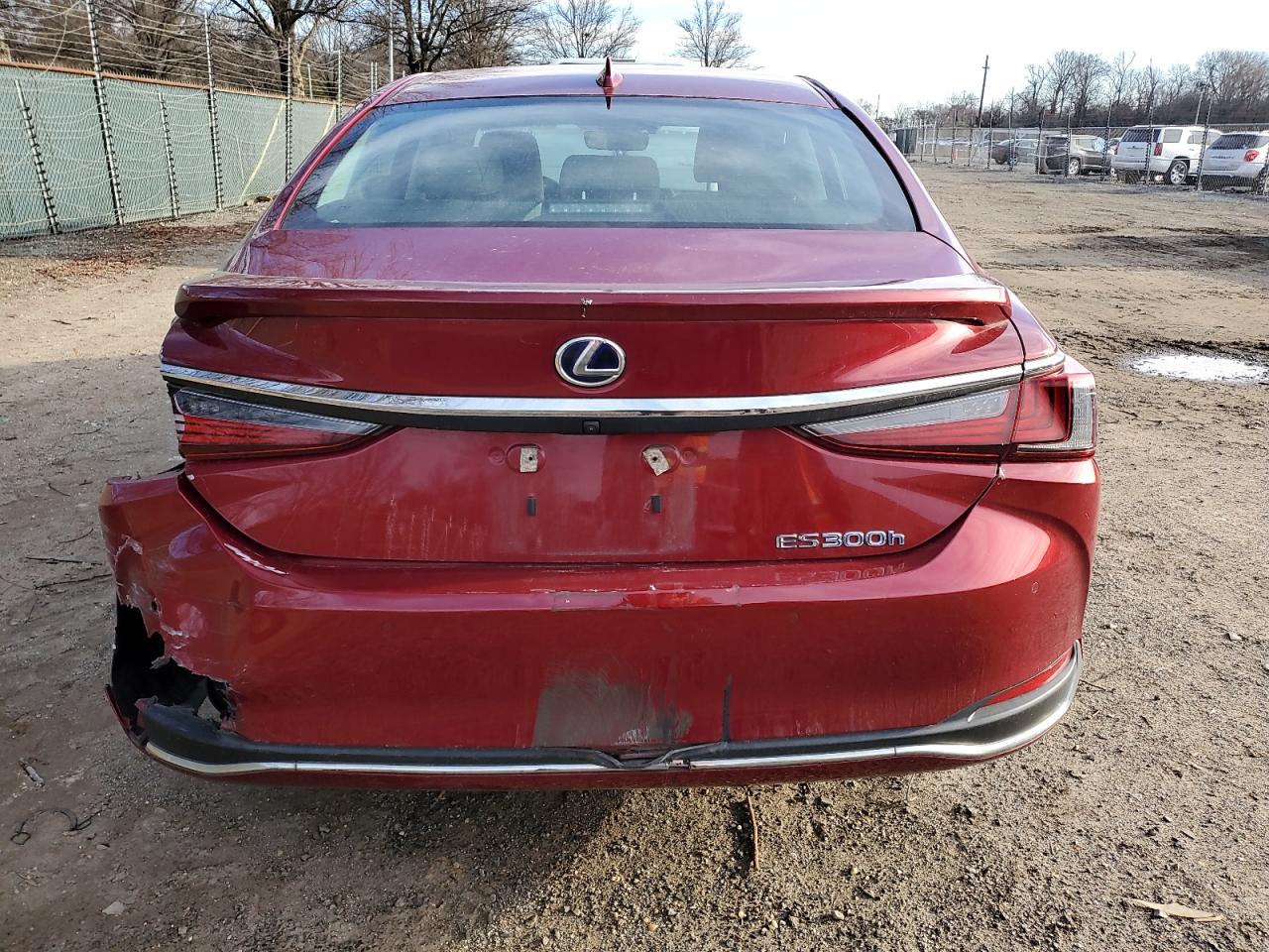 2020 Lexus ES - Image 6