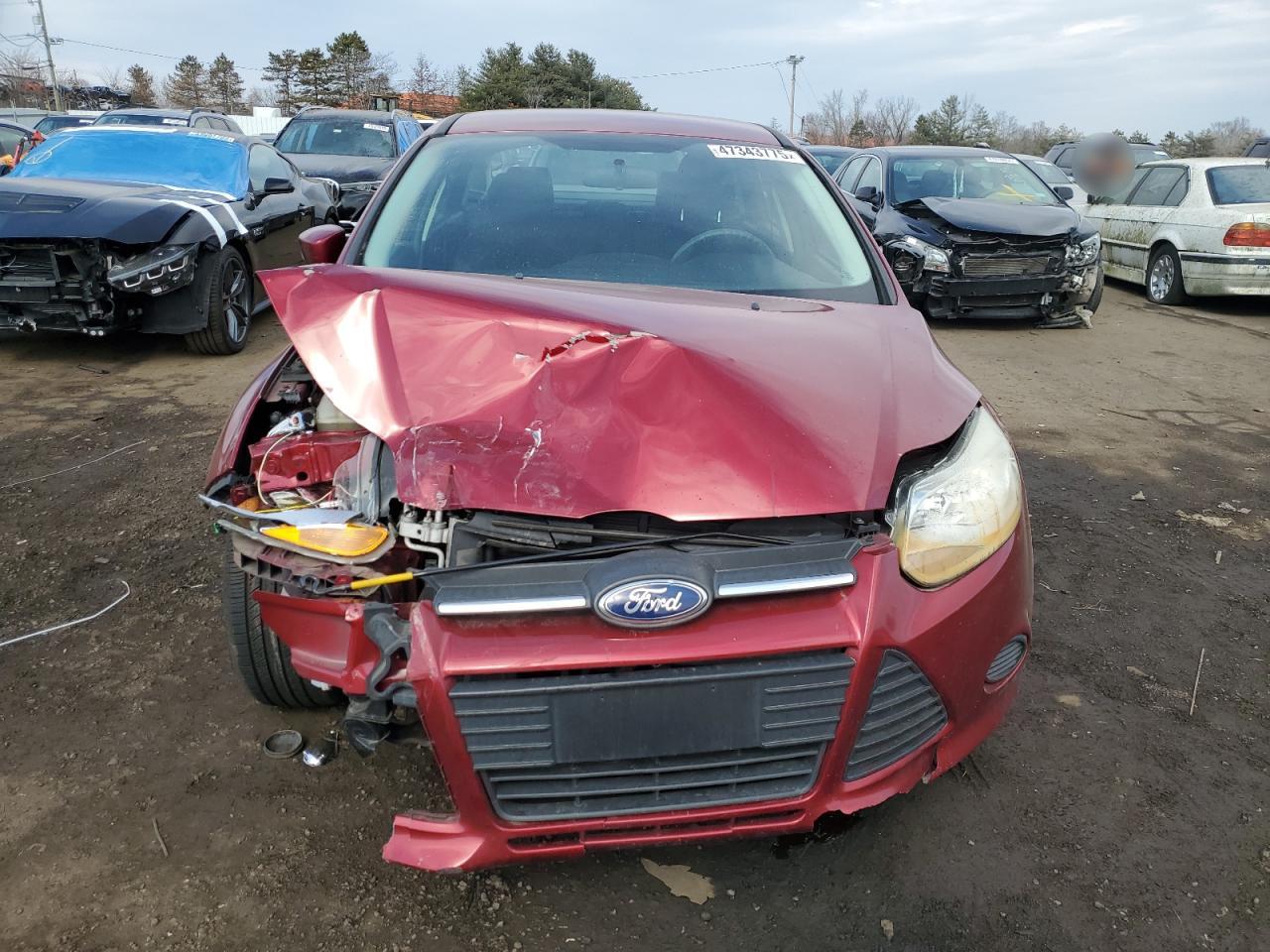 2014 Ford Focus - Image 5