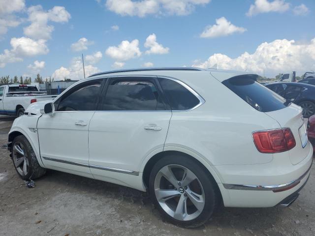  BENTLEY ALL MODELS 2019 White