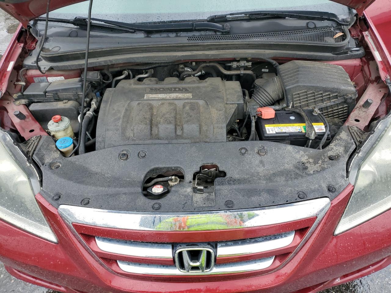 2005 Honda Odyssey Exl VIN: 5FNRL38735B076922 Lot: 49182675