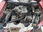 2003 FORD MUSTANG  for sale at Copart ON - COOKSTOWN