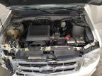 2009 Ford Escape Xlt იყიდება Ham Lake-ში, MN - Front End