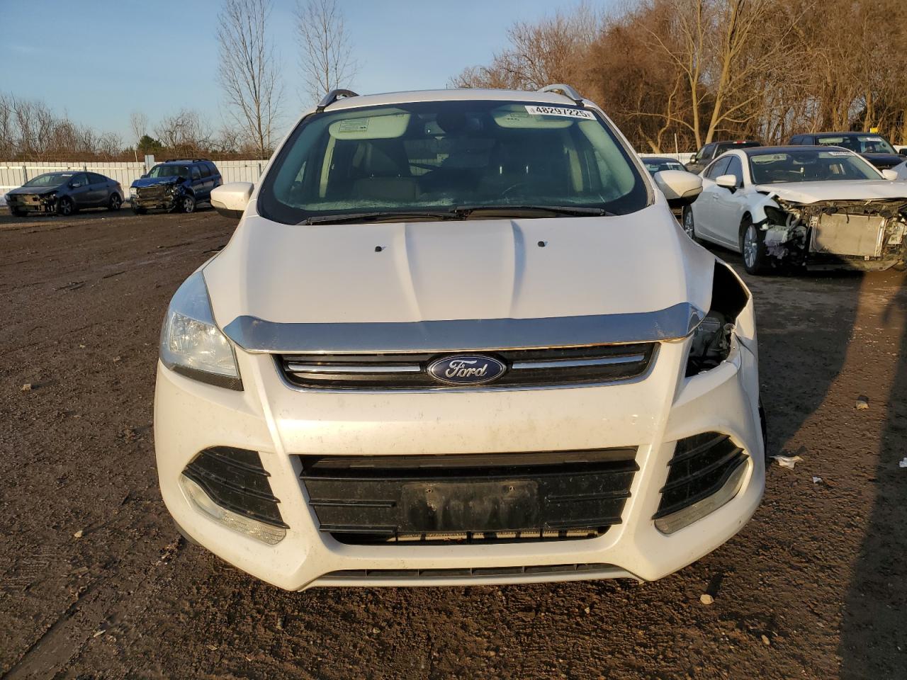 2014 Ford Escape - Image 5