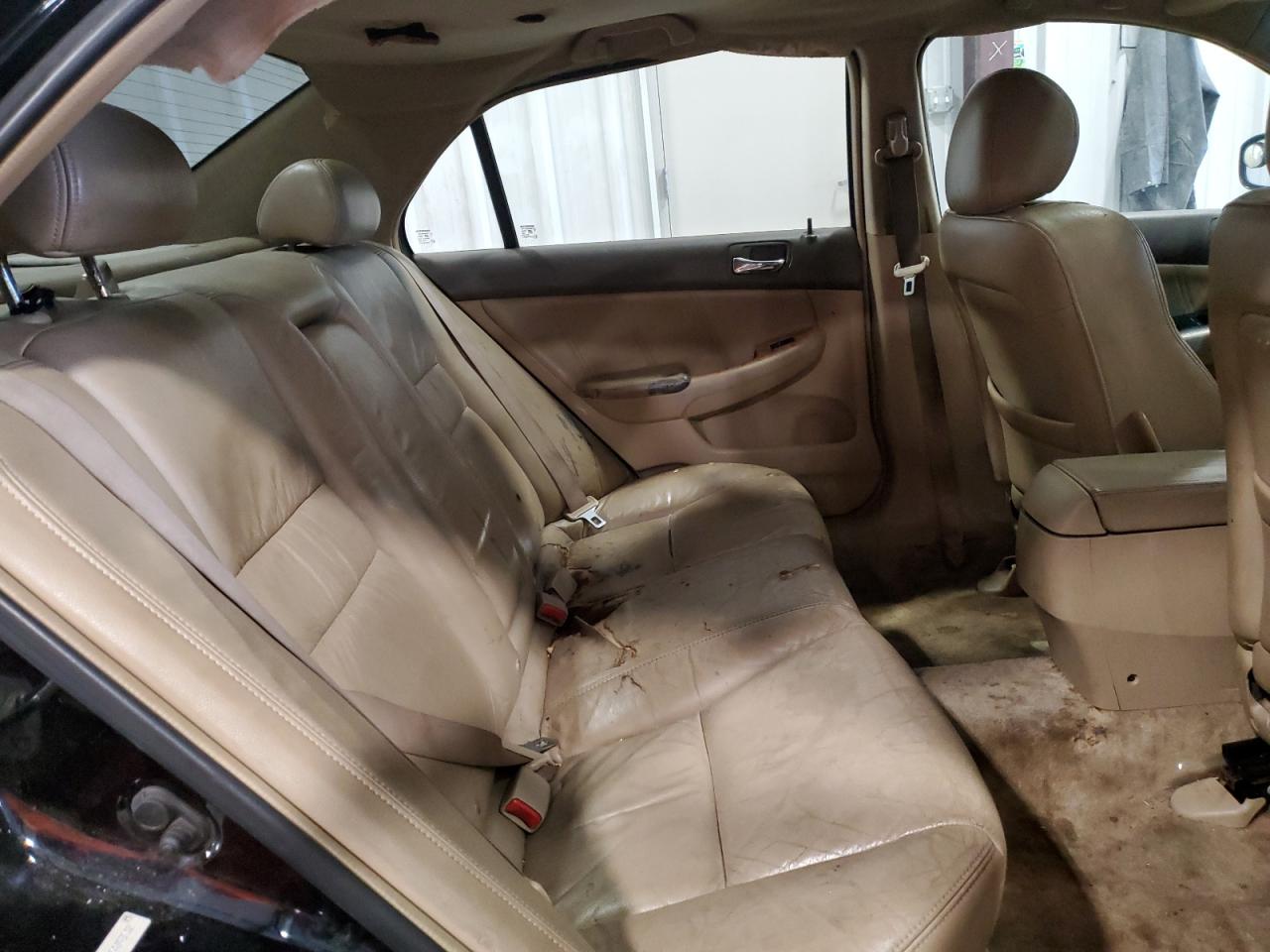 2005 Honda Accord Ex VIN: 1HGCM66585A048632 Lot: 50128345