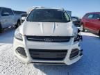 2014 FORD ESCAPE TITANIUM for sale at Copart AB - EDMONTON