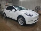 2021 Tesla Model Y  на продаже в Elgin, IL - All Over