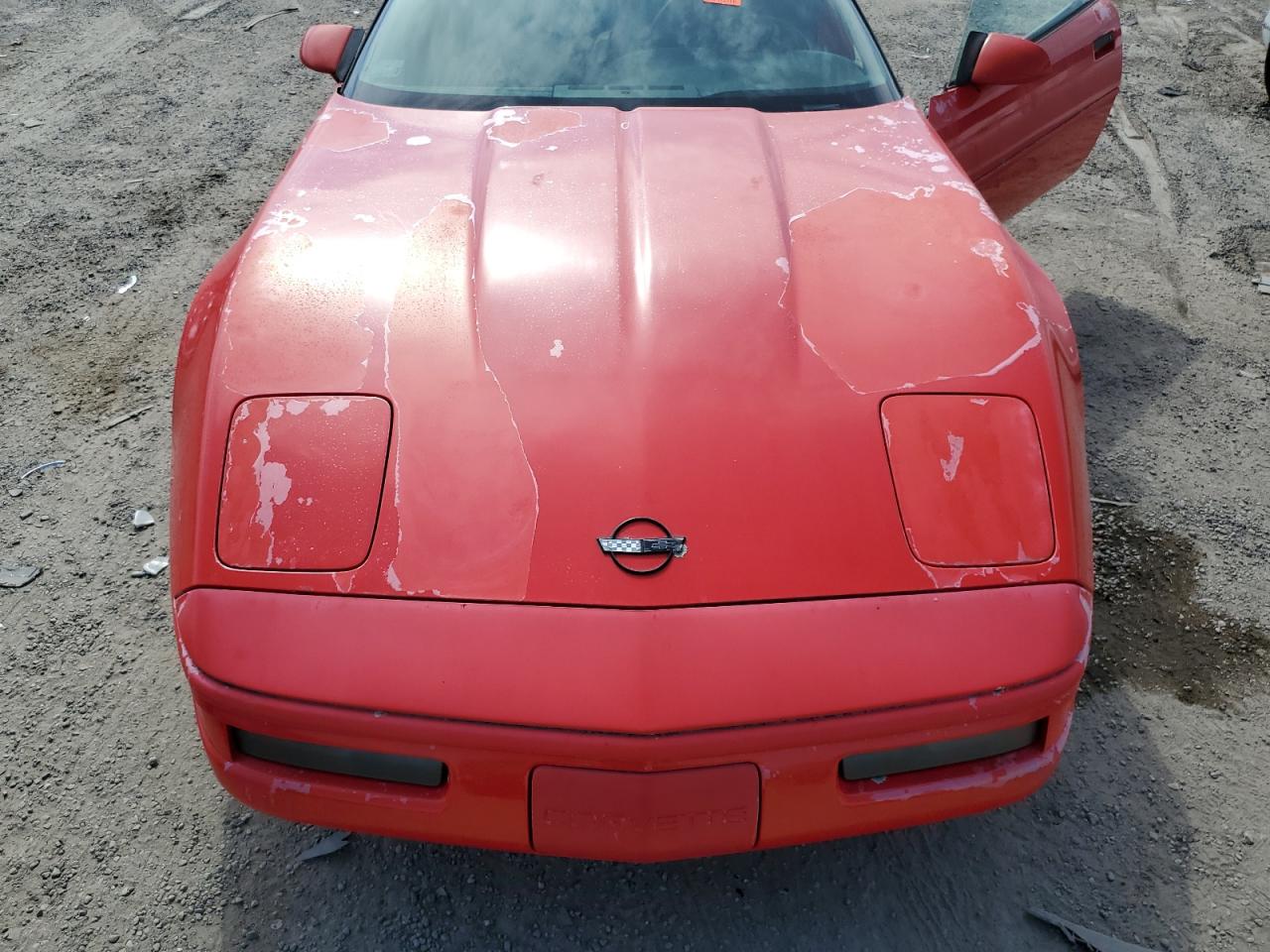 1996 Chevrolet Corvette VIN: 1G1YY32P4T5118575 Lot: 48996505
