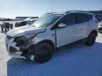2014 FORD ESCAPE TITANIUM for sale at Copart AB - EDMONTON