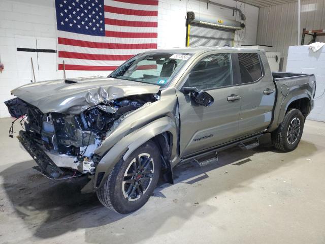  TOYOTA TACOMA 2024 Green