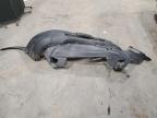 2024 Ford Transit T-350 for Sale in Center Rutland, VT - Rollover