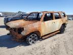 Conway, AR에서 판매 중인 2016 Toyota 4Runner Sr5/Sr5 Premium - Burn