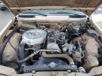 1982 Mercedes-Benz 240 D zu verkaufen in Albuquerque, NM - Minor Dent/Scratches