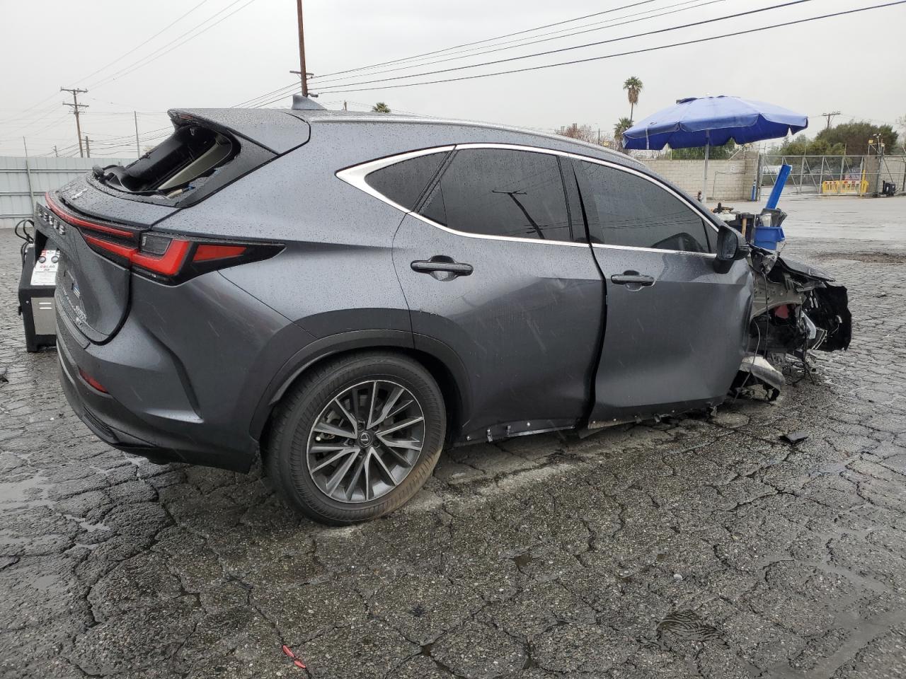 2024 Lexus NX - Image 3