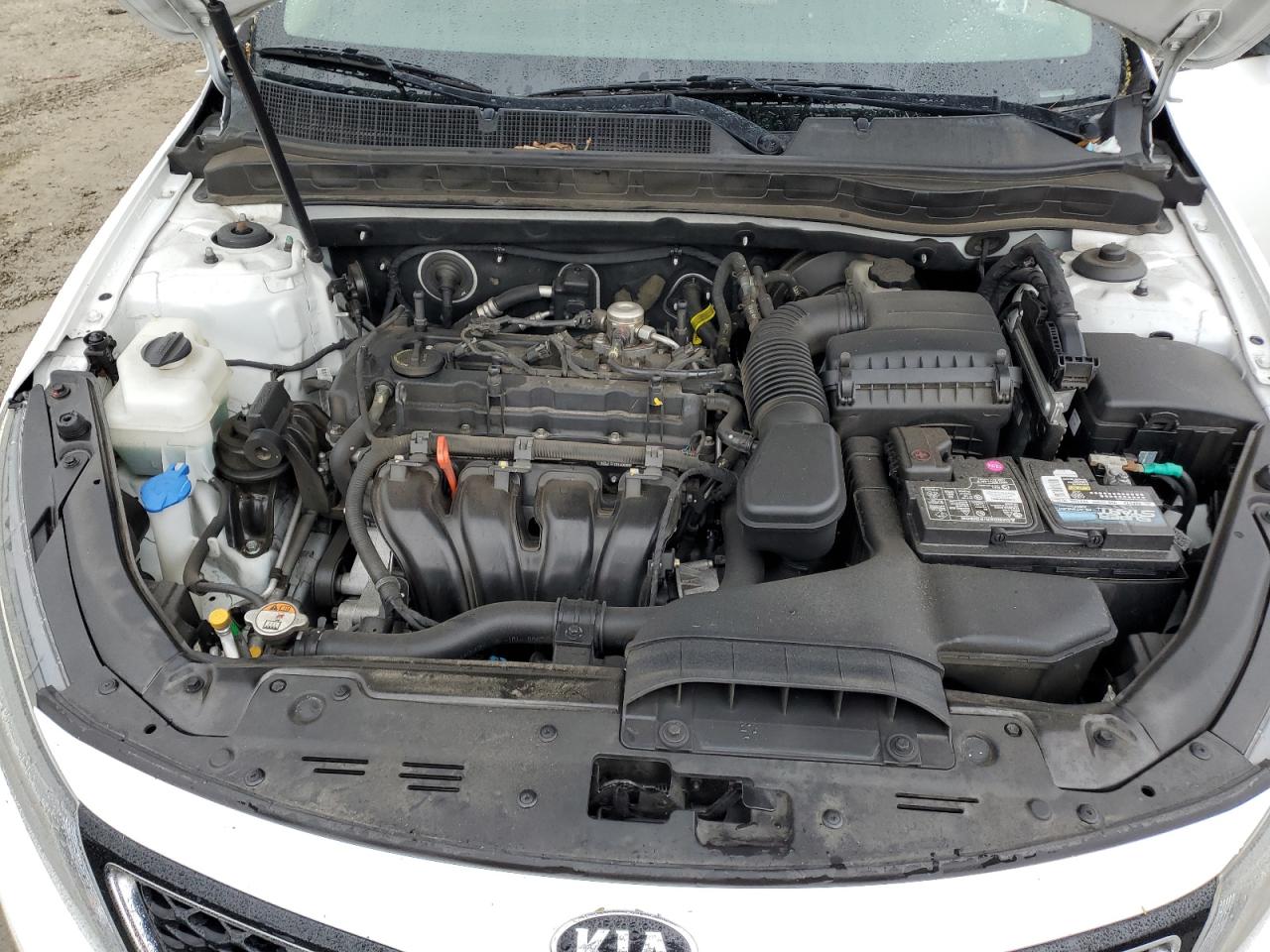2015 Kia Optima Lx VIN: 5XXGM4A77FG392388 Lot: 49349225