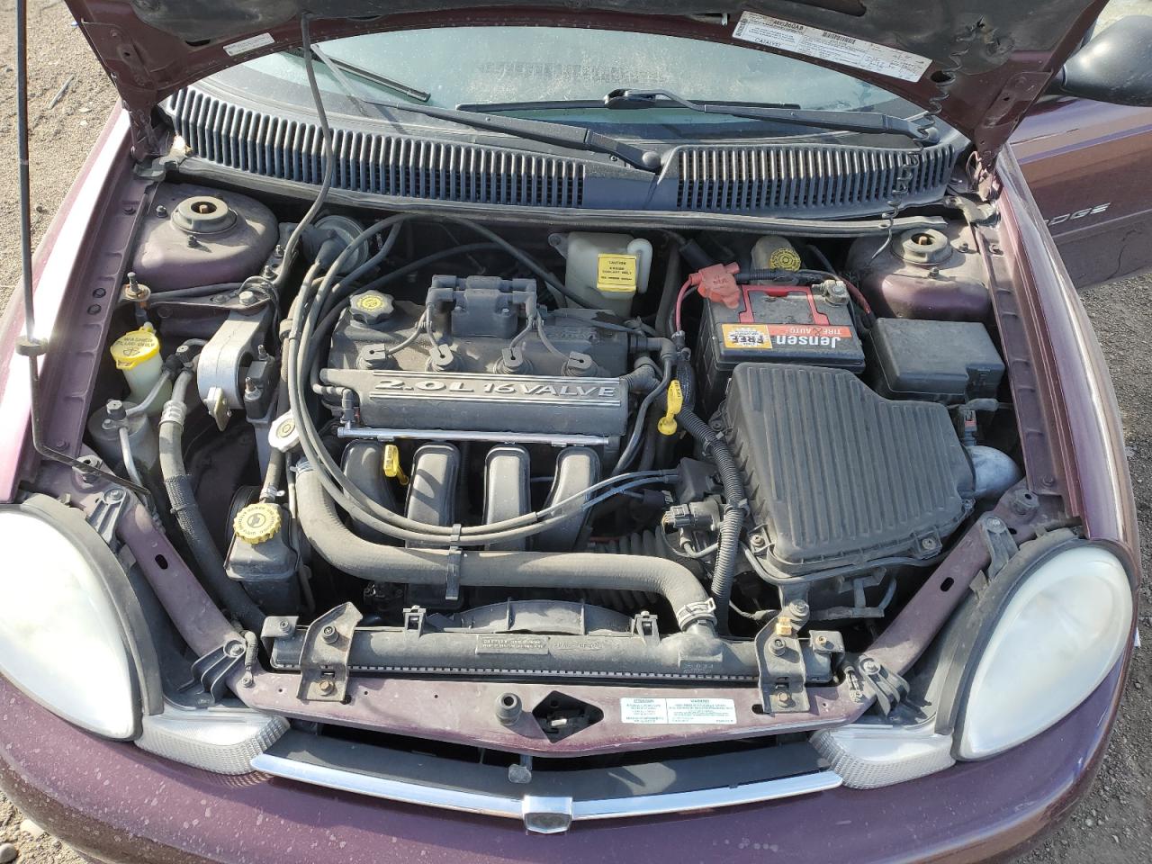 2000 Dodge Neon Base VIN: 1B3ES46C4YD548162 Lot: 49507315