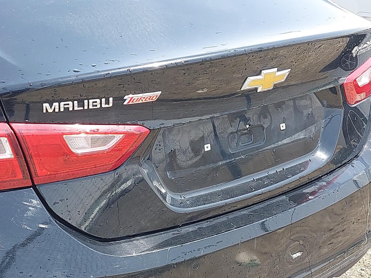 KL1ZA5CS4LB313129 - 2020 Chevrolet MALIBU - #50108735