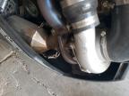 2019 Pola Pro R 800 en Venta en Albuquerque, NM - Minor Dent/Scratches