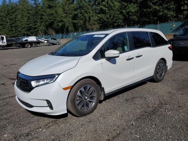 2021 Honda Odyssey Exl