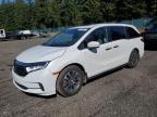 2021 Honda Odyssey Exl for Sale in Graham, WA - Minor Dent/Scratches