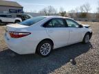 2016 Toyota Camry Le for Sale in Louisville, KY - Front End