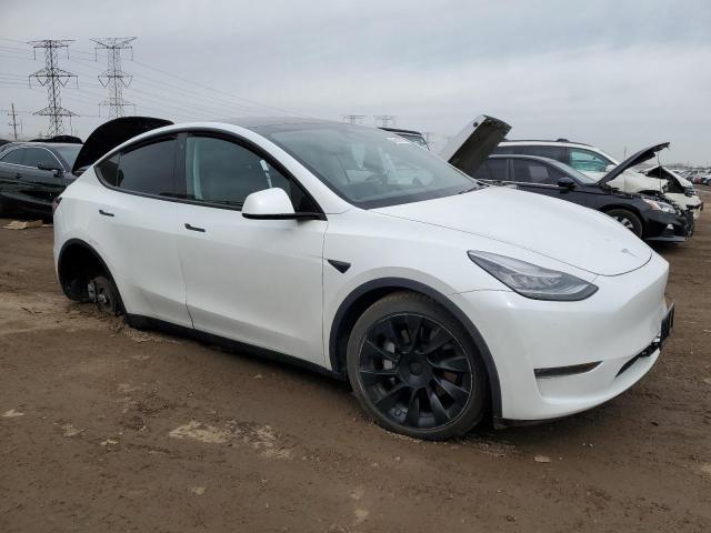  TESLA MODEL Y 2020 Белы
