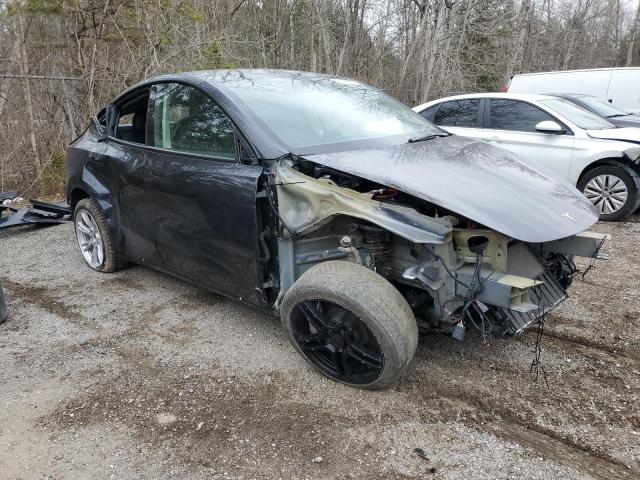  TESLA MODEL Y 2024 Gray