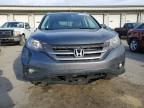 2014 Honda Cr-V Exl للبيع في Louisville، KY - Side