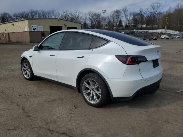  TESLA MODEL Y 2021 White