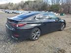 2019 Lexus Es 350 for Sale in North Billerica, MA - Top/Roof