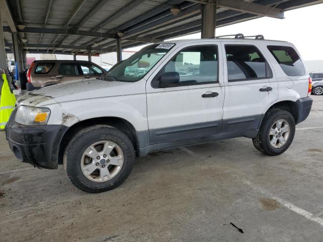 2005 Ford Escape Xlt