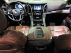 2019 Cadillac Escalade Premium Luxury للبيع في Lawrenceburg، KY - All Over
